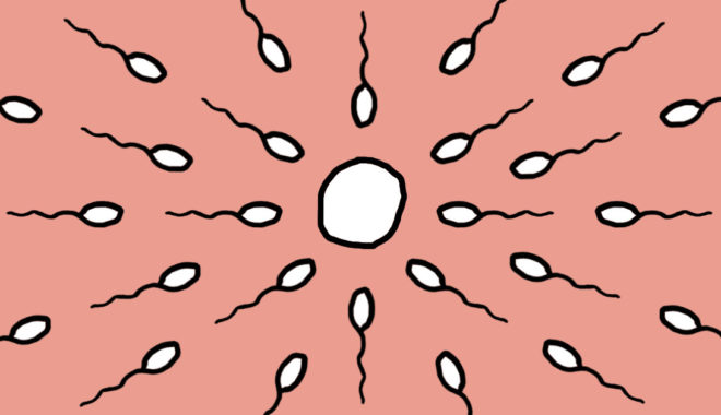 What every woman should know about her fertility - HealthSherpa.com:blog