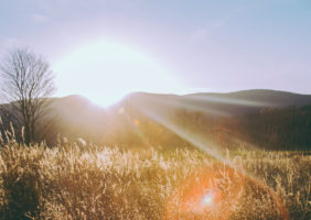 How health insurance reduces the burden of cancer - Blog - HealthSherpa.com