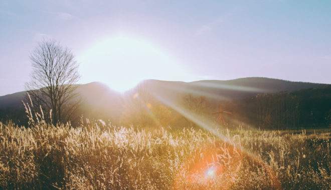 How health insurance reduces the burden of cancer - Blog - HealthSherpa.com